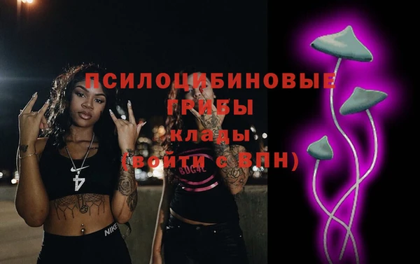 таблы Алексин