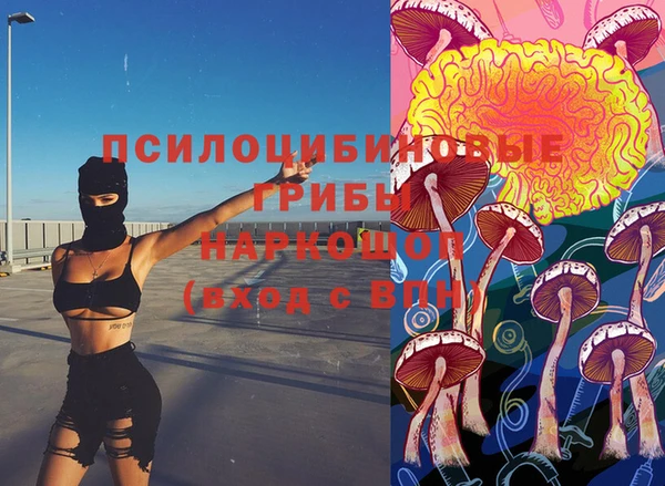 таблы Алексин