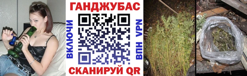Шишки марихуана тримм  наркошоп  ссылка на мегу вход  Данилов 
